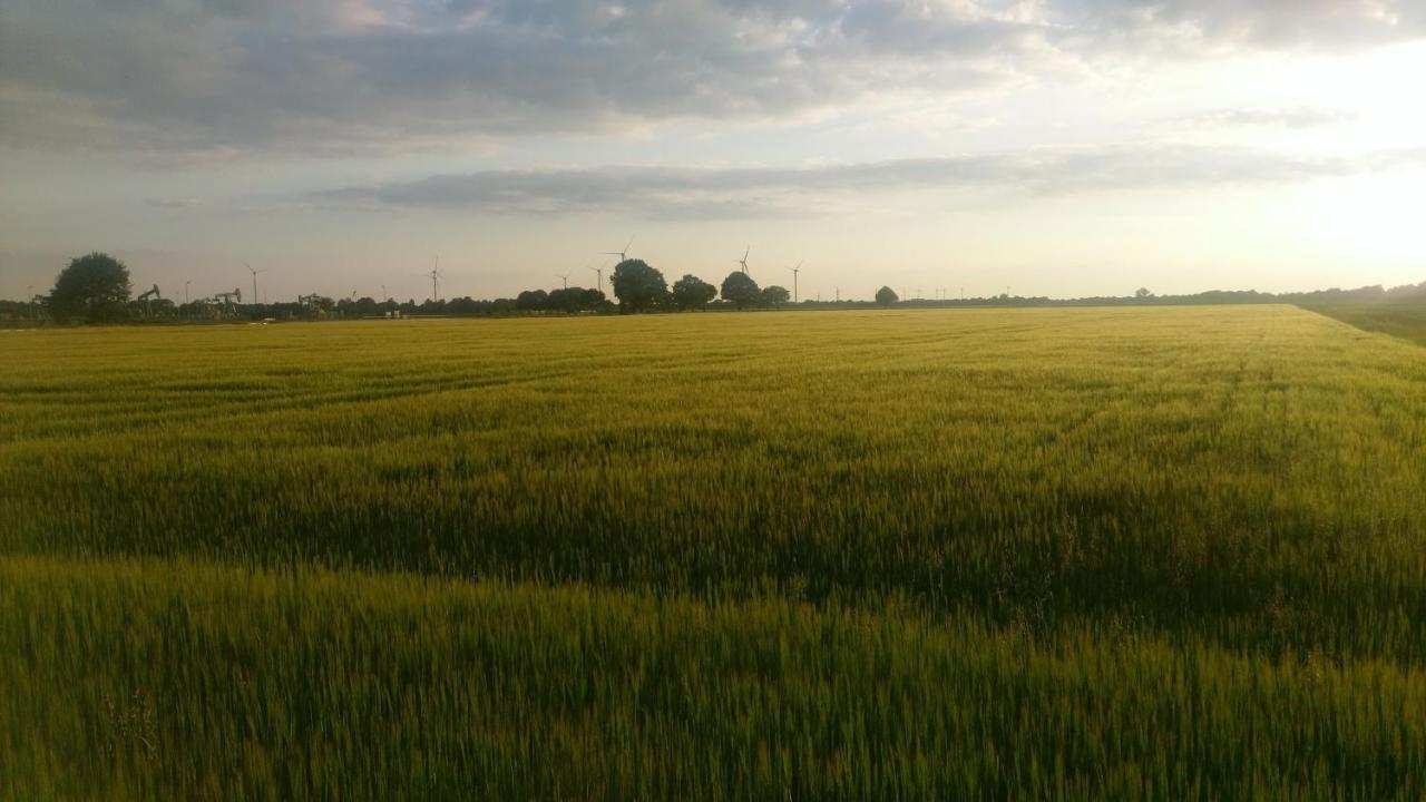 Het Vlieghuisje Coevorden Exterior foto