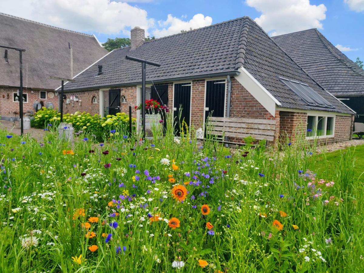 Het Vlieghuisje Coevorden Exterior foto